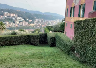 tree-dimension-tree-climbiing-genova-37