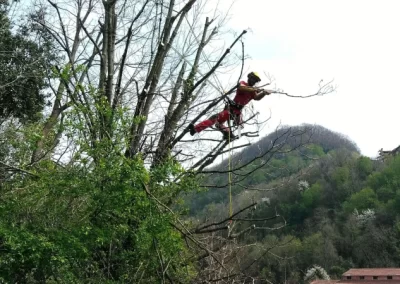 tree-dimension-tree-climbiing-genova-38